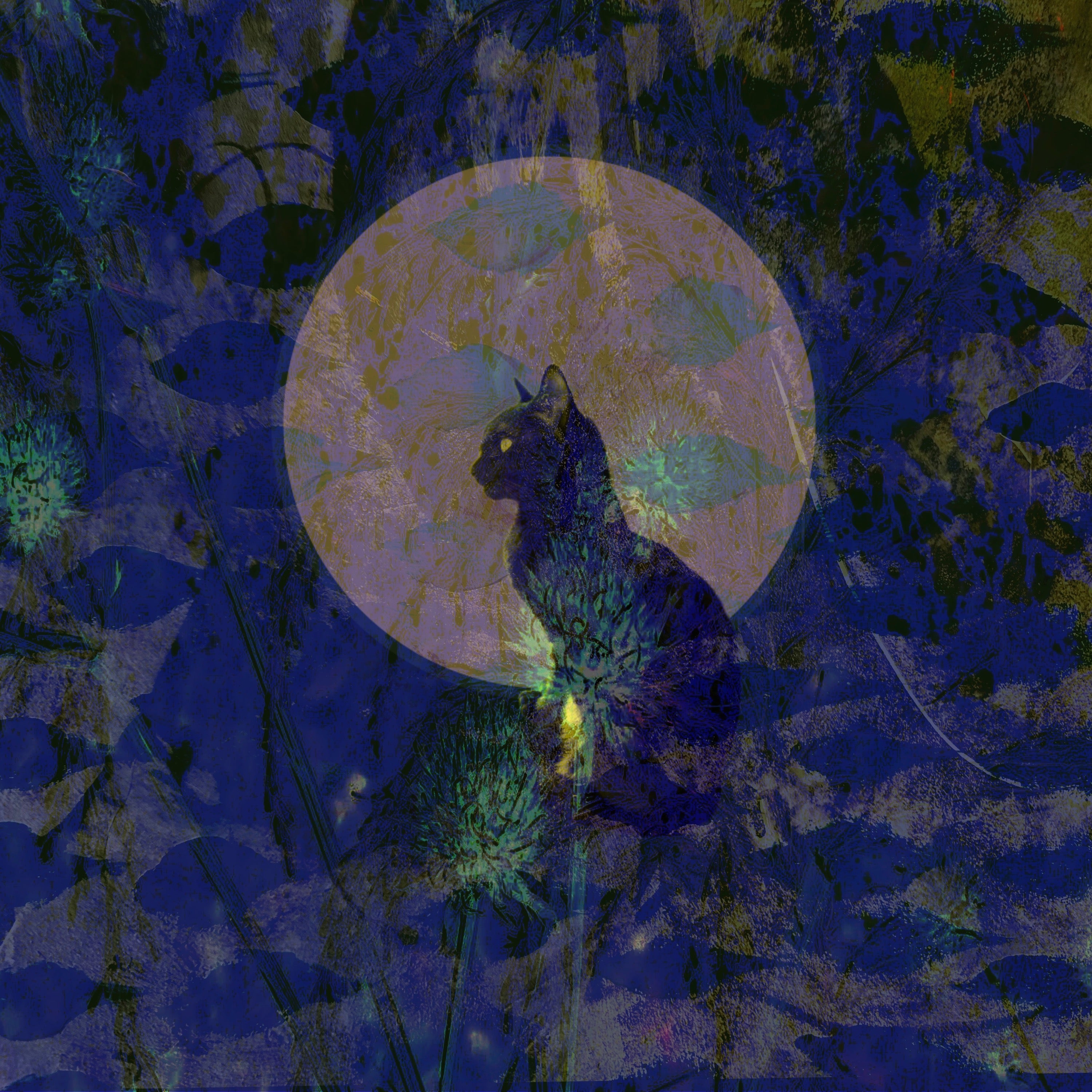 Cat sitting in front of a full moon with a dark, textured background